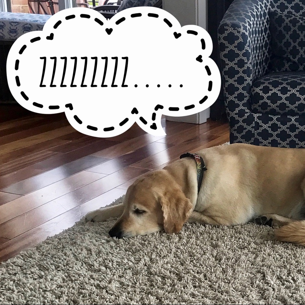 Meet your Posher, Gretta